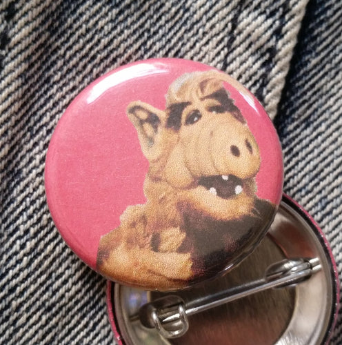 Hide Your Cats Magnet