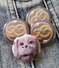 Auryn and Falcore pin back button