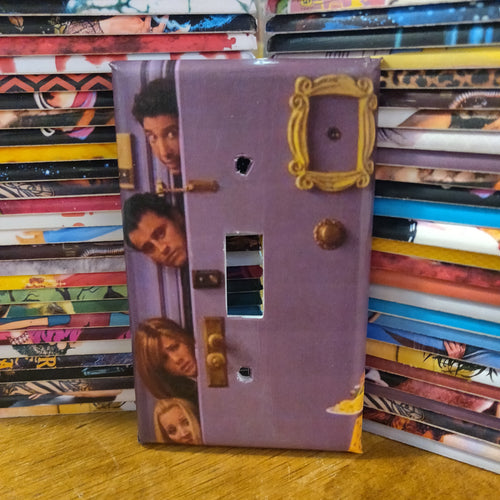 The One With The Light Switch Plate