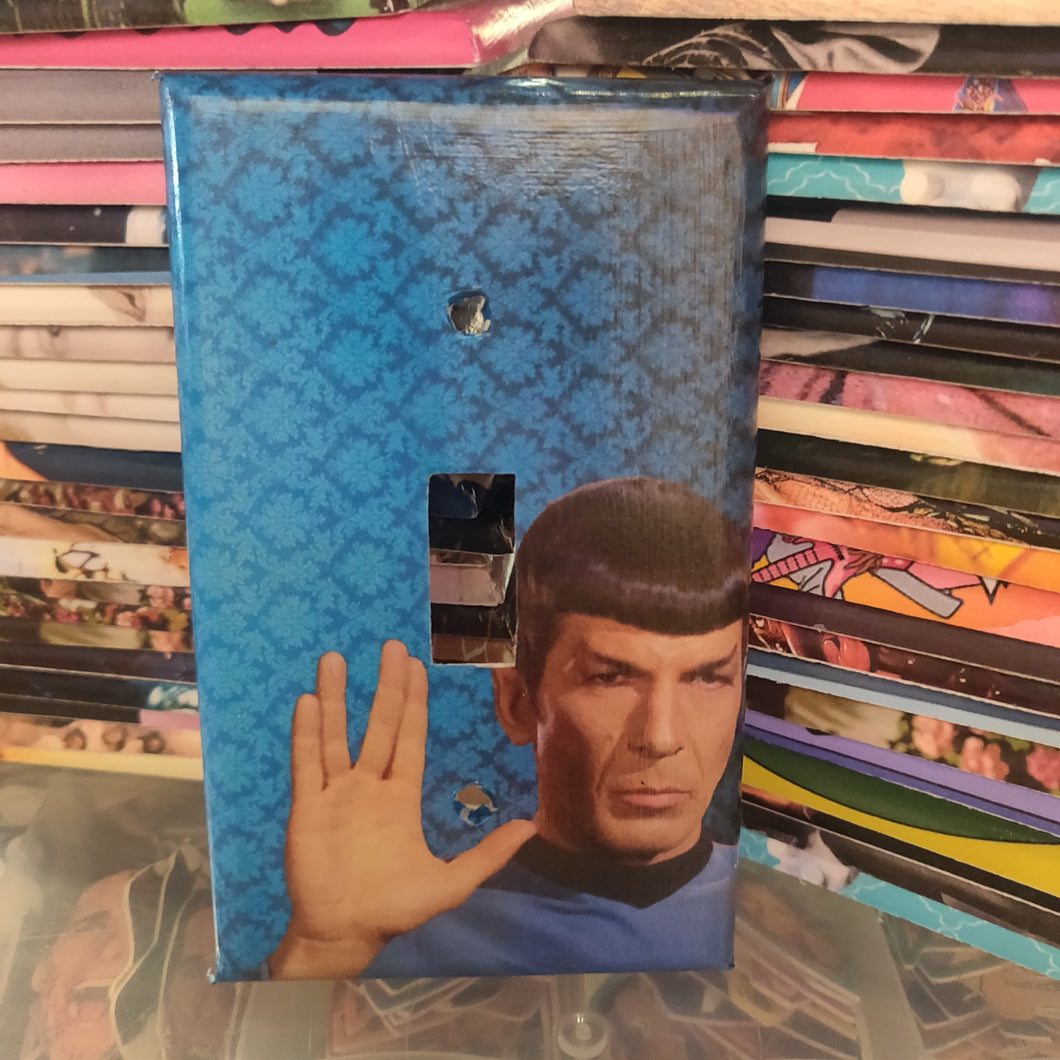 LLAP Light Switch Plate
