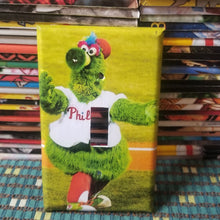 Philly Sports Switch Plate